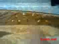 Playing with Wife’s Big Wet Ass.mp4 - تماشای آنلاین در بکن تو