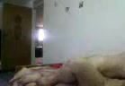 Amateur Iranian Couple Sex – Fucks His Wife then Gets Blowjob.mp4 - تماشای آنلاین در بکن تو