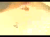 Fucking Puffy Pussy Big Sexy Clitoris.mp4 - تماشای آنلاین در بکن تو