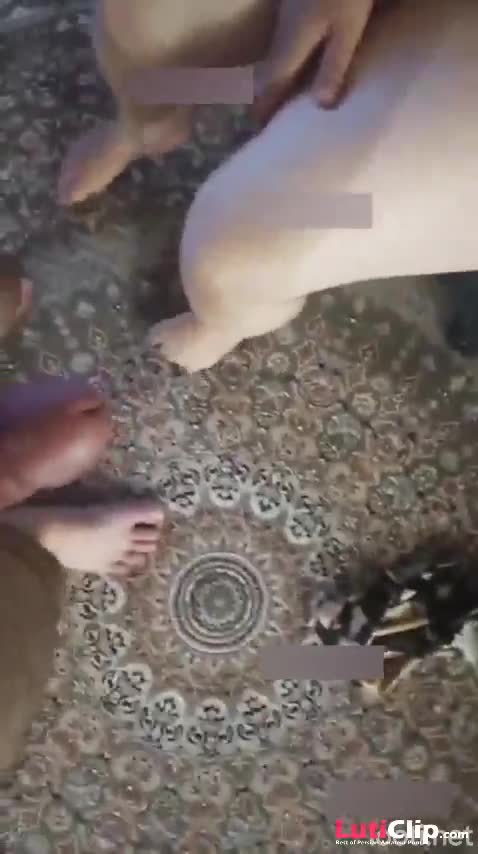 میلفو میزاره رو صندلی عقب جلشو پاره میکنه چ اه و ناله ای هم میکنه.mp4 - تماشای آنلاین در بکن تو